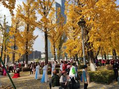 -百林公园-两江幸福广场