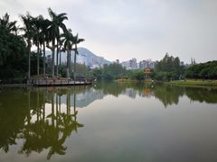 -四海公园(南山区)