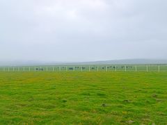 -花湖生态旅游区