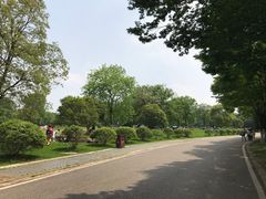 -南京市江宁方山