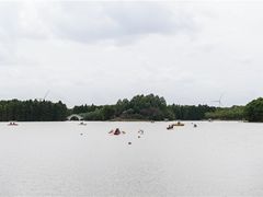 -上海海湾国家森林公园