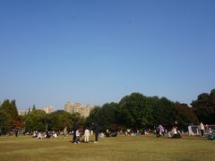 -青枫公园