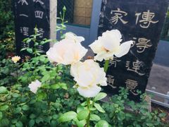 -碑林公园