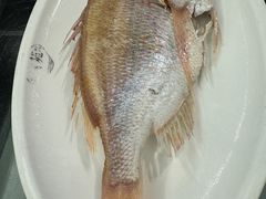 -吴记富苑(朝阳店)