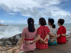 -广东惠东海龟国家级自然保护区