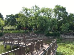 -上海市保健医疗中心(华东疗养院)