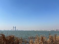 -春花秋色城市公园