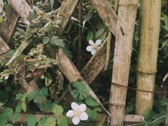 -会稽山峡洞漂流-上青古道