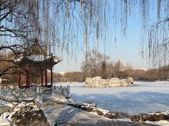 -达活泉公园