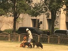 -上海静安宾馆
