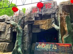 -广东茂名森林公园