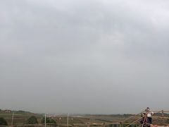 -空港花田景区