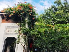 -鲤院·新中式美学·庭院餐厅(夫子庙店)