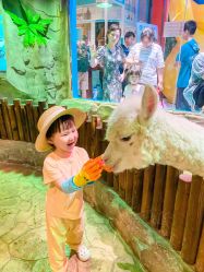 -宝燕乐园(闵行旗舰店)