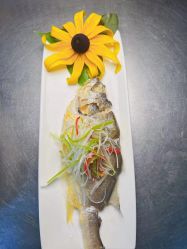 -安悦国际母婴中心(月子会所)