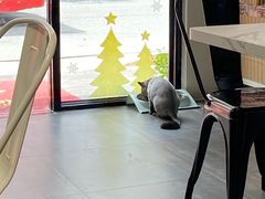 -乐果甜心·潮汕冰室(南澳后宅分店)