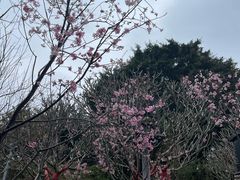 -乌山风景区