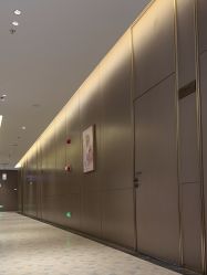 -深圳米兰柏羽医疗美容医院