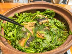-九道菜有鸡鱼头(石鼓路店)