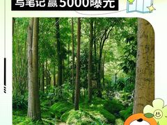 -清凉山国家森林公园