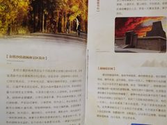 -金塔沙漠胡杨林景区