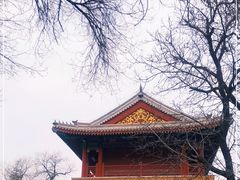 -潭柘寺景区