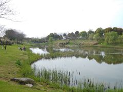 -九里河湿地公园