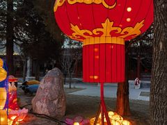 -南宫五洲植物乐园