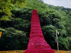 -少华山国家森林公园