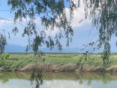 -野鸭湖国家湿地公园