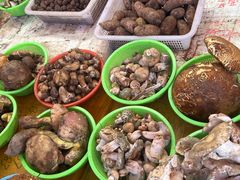 -南坛综合农贸市场