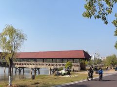 -九龙湖公园