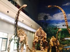 -自贡恐龙博物馆