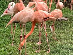 -哈尔滨北方森林动物园