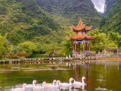 -靖西鹅泉风景区