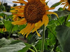 -贵阳市花溪国家城市湿地公园