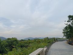 -芒洲湿地公园