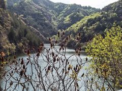 -仙居谷风景区