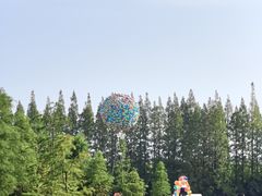 -黄海国家森林公园