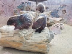 -大连森林动物园