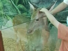 -太奥幻太奇海洋馆