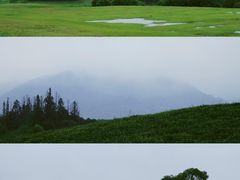 -良渚古城遗址公园