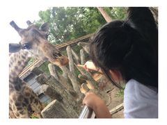 -清迈夜间动物园