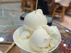 -古树酸奶(八廓南街店)