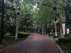 -城市运动公园(未央区)