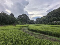 -高荡千年布依古寨旅游景区