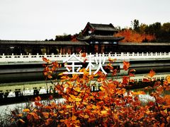 -北宫国家森林公园
