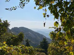 -鲁山国家森林公园