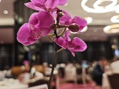 -潮江春(阳光店)