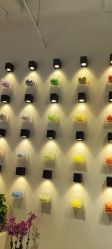 -Zzmart珠珠世界·潮玩·串珠·水晶DIY(双塔店)